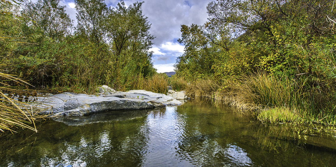 Saving a Rare Southern California River - Western Rivers Conservancy