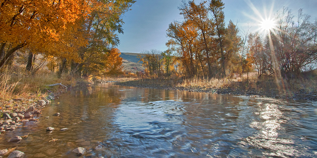 If Given Half a Chance: Protecting and Restoring Catherine Creek ...