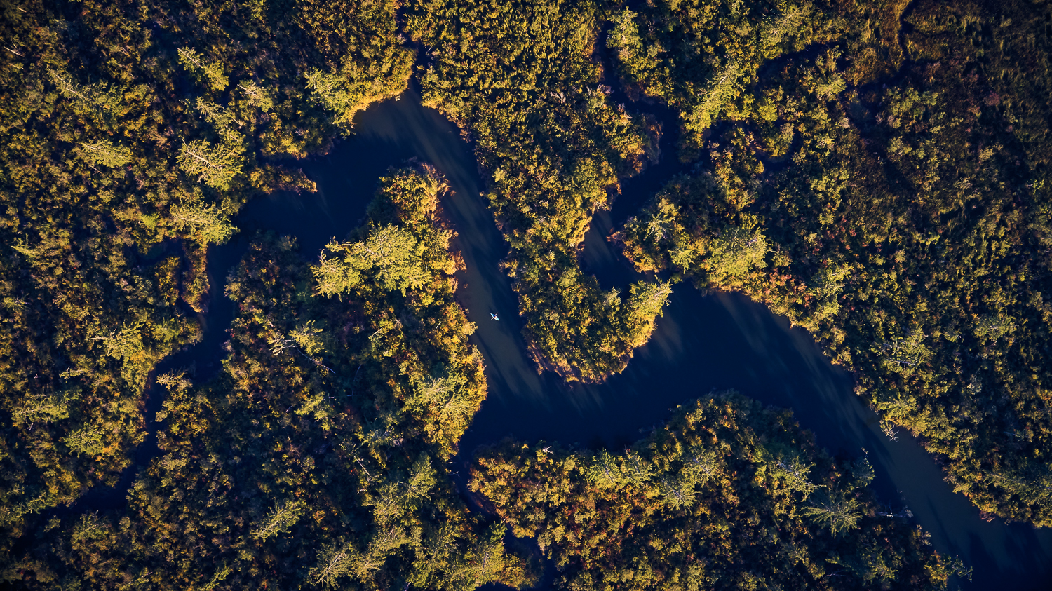 Chehalis River - Western Rivers Conservancy